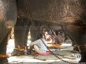 thrissur-pooram-2010 (65)